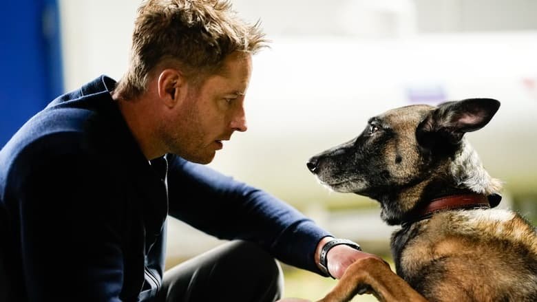 E-07 Man's Best Friend